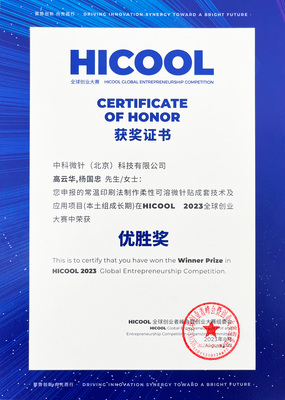 HICOOL 2023 Global Entrepreneur Summit Award
