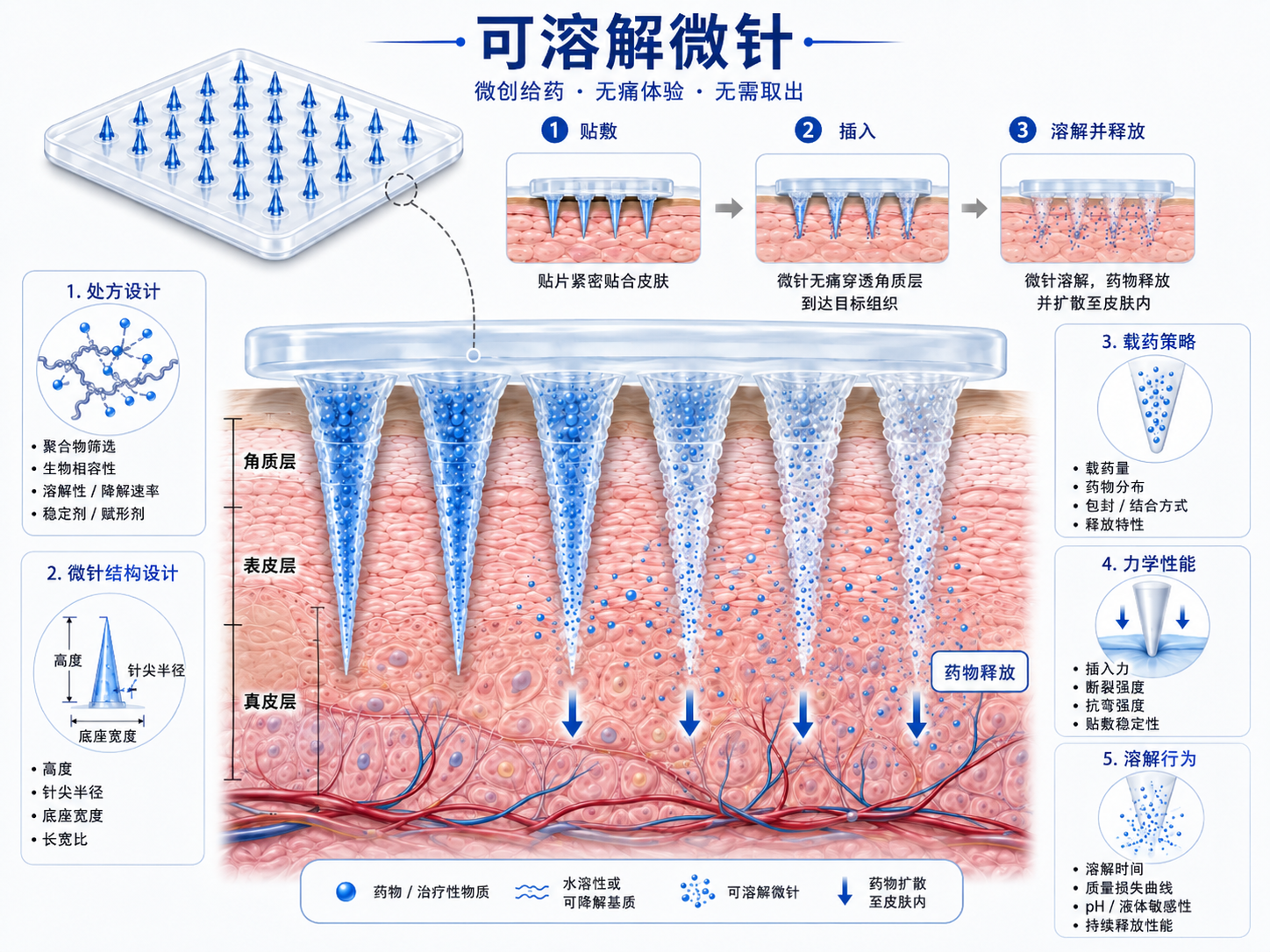 中文版可溶性微针贴敷、插入、针体溶解及载荷释放原理图