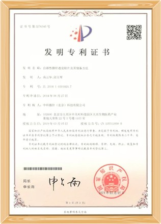 发明专利：可溶性微针贴及其制备方法