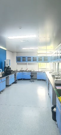 Quality-control laboratory at the Chongqing Changshou manufacturing base